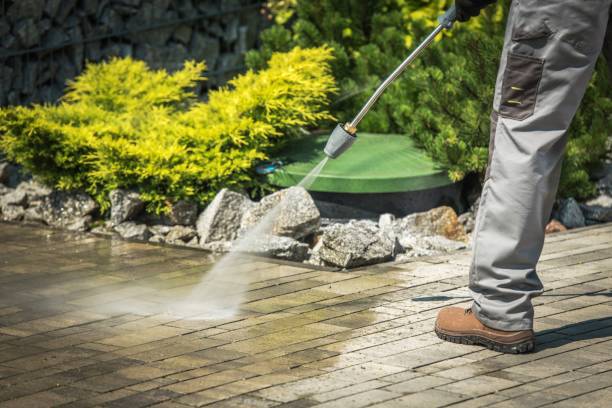 Best Roof Washing  in , CA